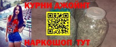 гашик Шелехов