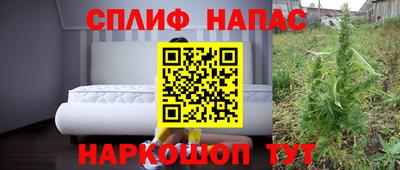 гашик Шелехов