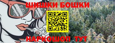 гашик Шелехов