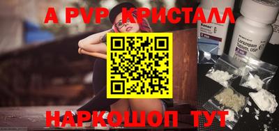 гашик Шелехов