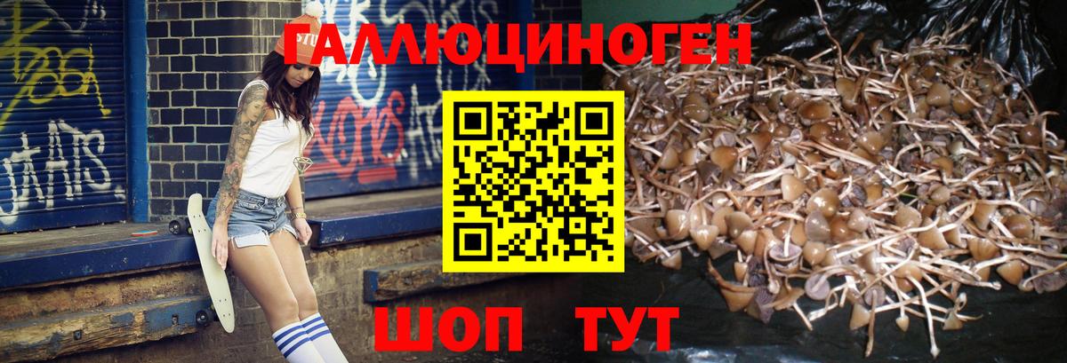 Галлюциногенные грибы мухоморы Алапаевск